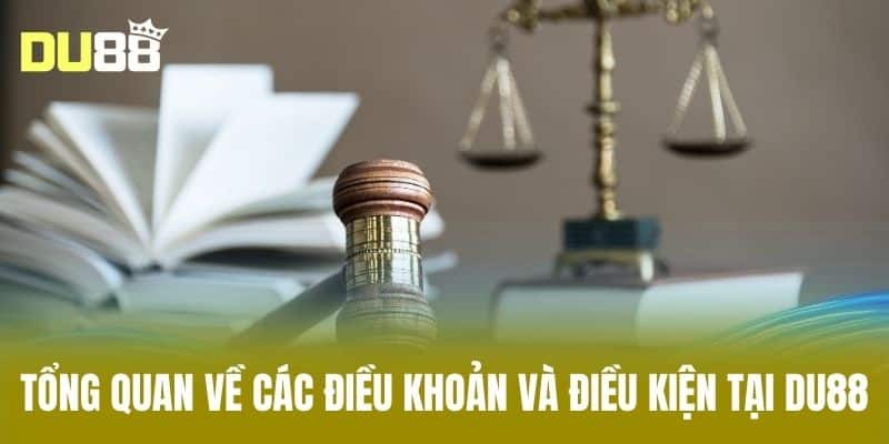 Tổng quan về các điều khoản và điều kiện tại DU88