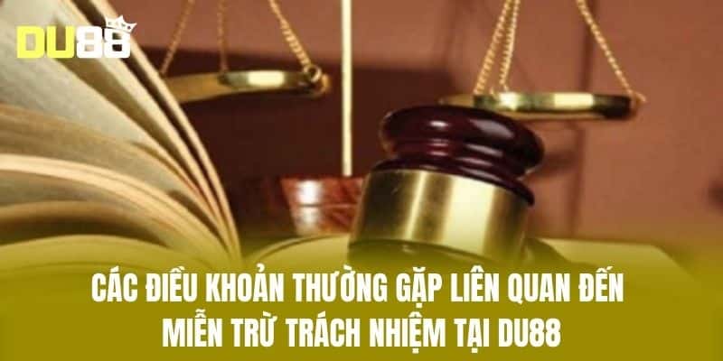 Các Điều Khoản Thường Gặp Liên Quan Đến Miễn Trừ Trách Nhiệm tại DU88