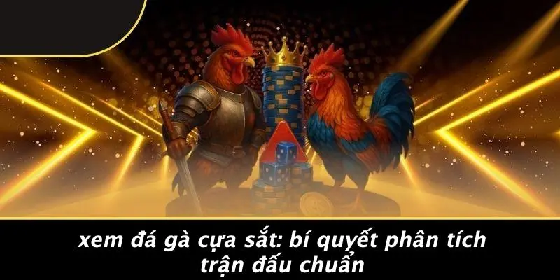 xem đá gà cựa sắt